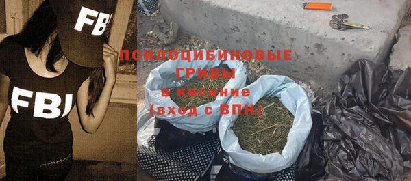 ПСИЛОЦИБИНОВЫЕ ГРИБЫ Алексин