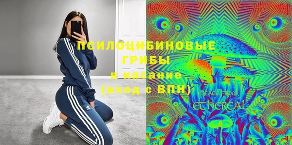 ПСИЛОЦИБИНОВЫЕ ГРИБЫ Алексин