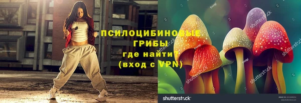 молекула духа Алзамай